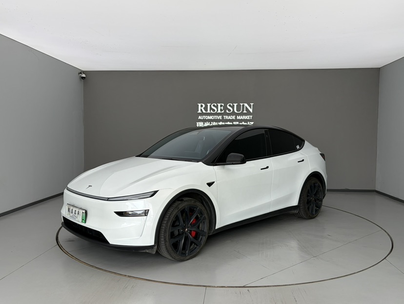 Tesla Model Y 2025 Tesla Model Y 2025 car image