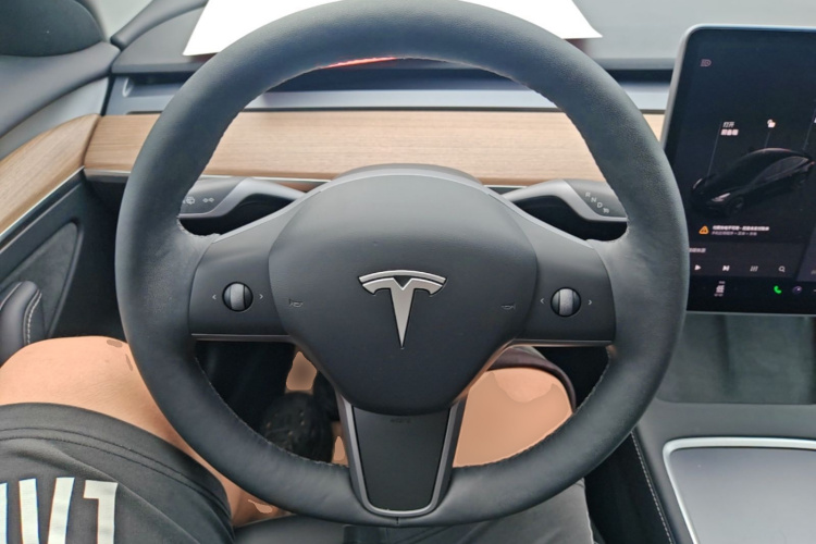 Tesla Model 3 2023 car image #15