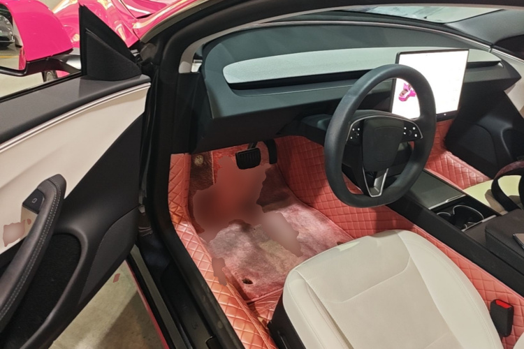 Tesla Model 3 2024 #16 Tesla Model 3 2024 car image #16