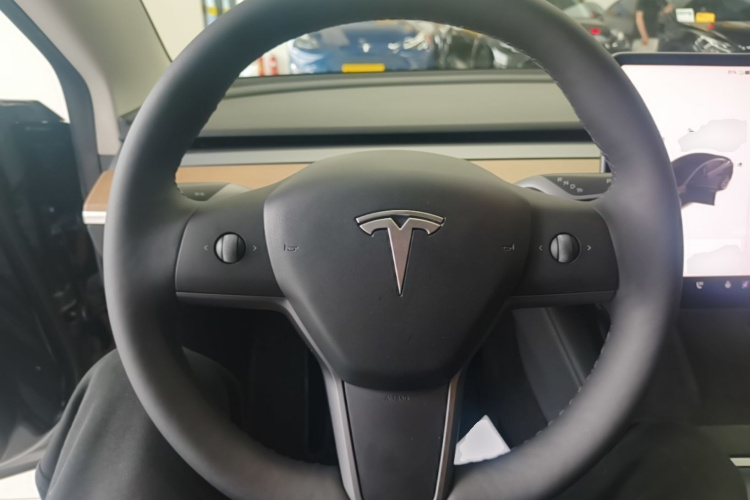 Tesla Model 3 2021 car image #11