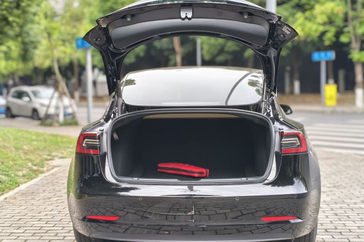 Tesla Model 3 2023 car image #19