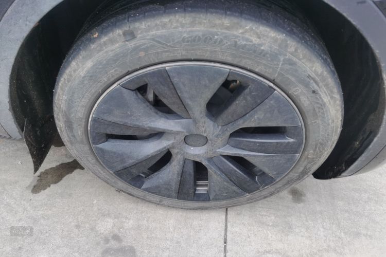 Tesla Model Y 2024 car image #9