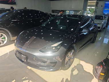 Tesla Model 3 2022 Tesla Model 3 2022 immagine di auto