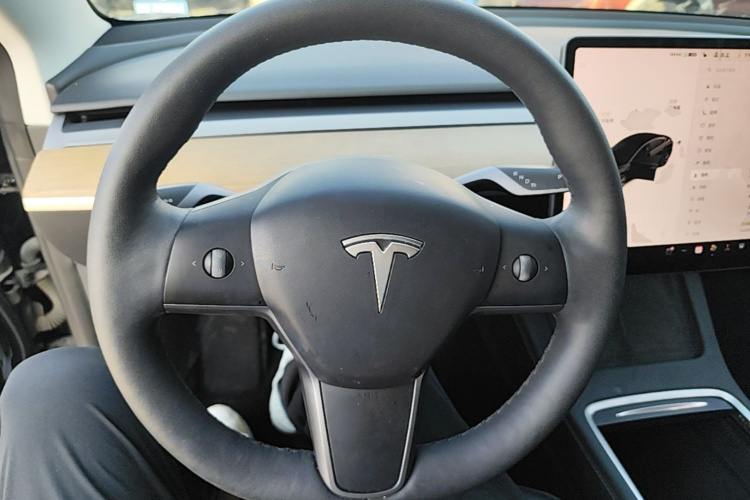 Tesla Model 3 2021 #11 Tesla Model 3 2021 immagine di auto #11
