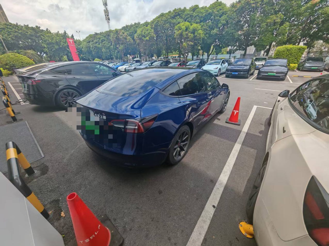 Tesla Model 3 2021 #6 Tesla Model 3 2021 car image #6
