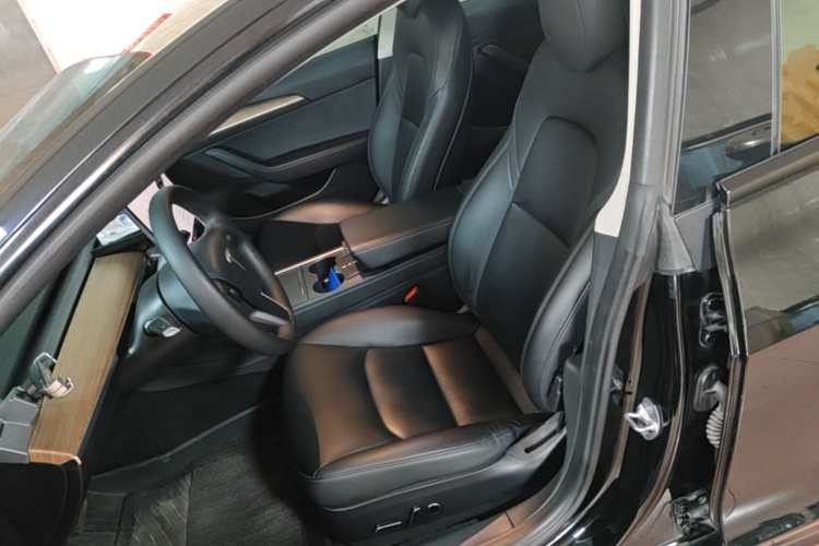 Tesla Model 3 2023 car image #15