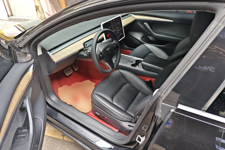 Tesla Model 3 2022 car image #16