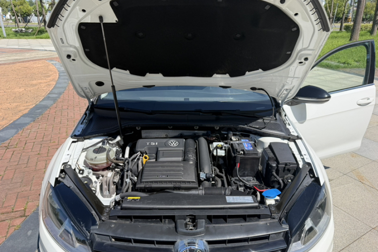 Volkswagen Golf 2017 #22 Volkswagen Golf 2017 car image #22