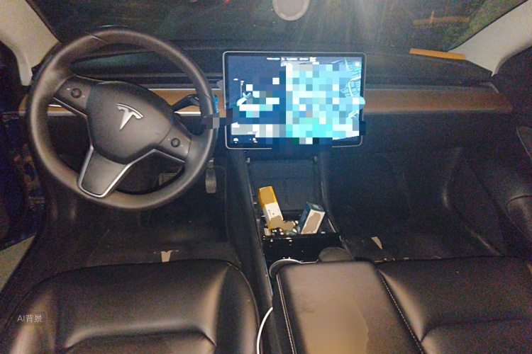 Tesla Model 3 2020 car image #11