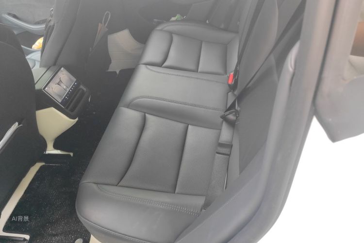 Tesla Model 3 2024 car image #19
