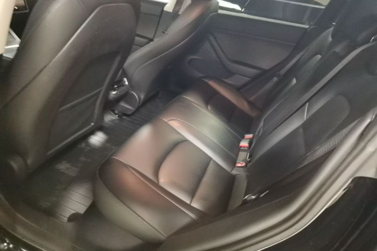 Tesla Model 3 2023 immagine di auto #17