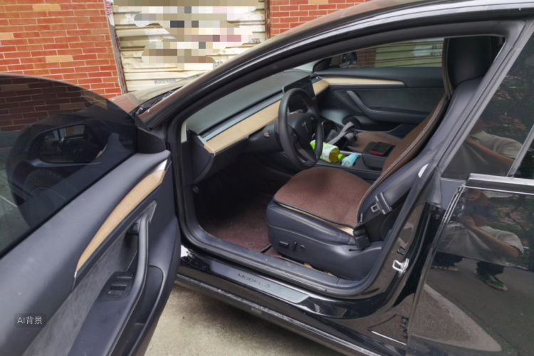 Tesla Model 3 2022 car image #18