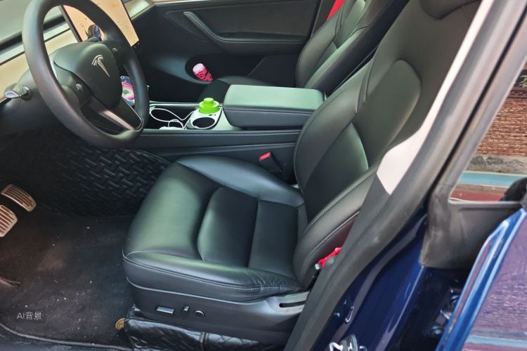 Tesla Model Y 2021 car image #17
