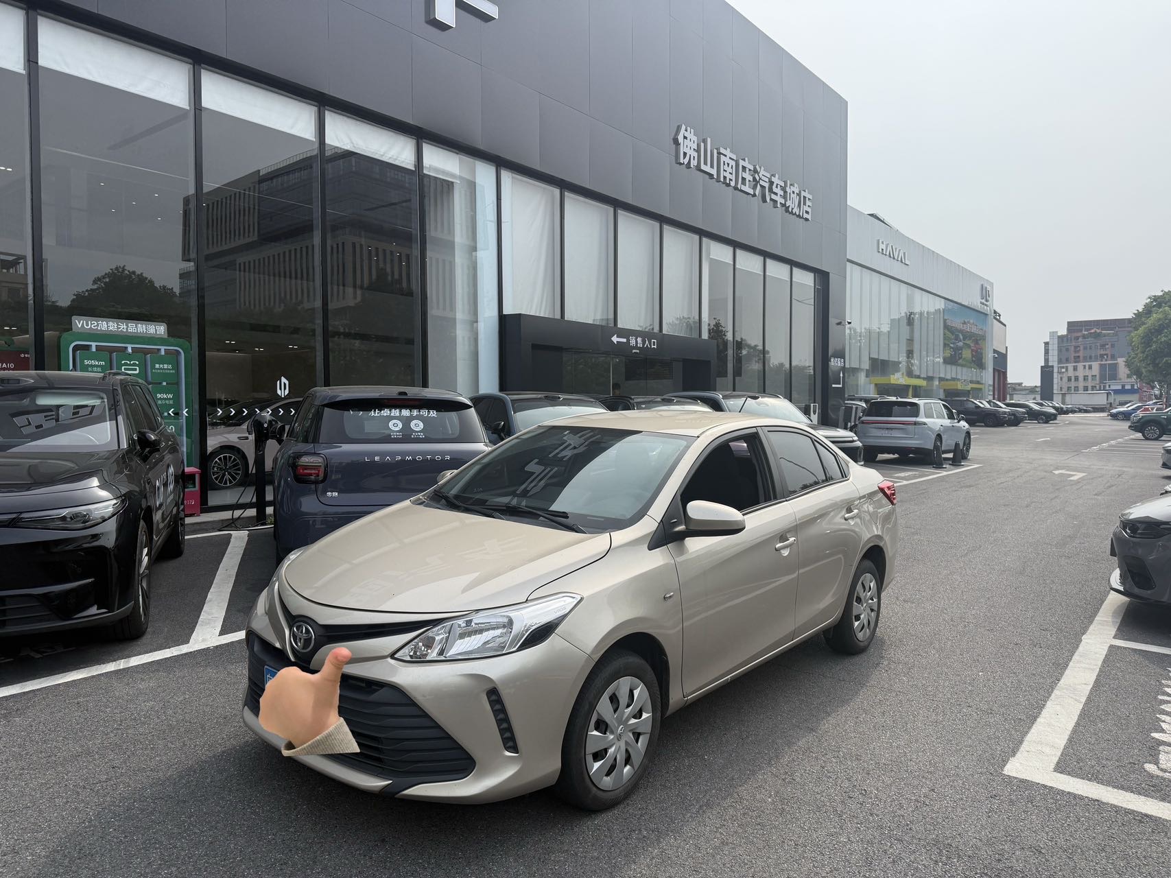 Toyota Vios 2016 Toyota Vios 2016 汽车图片
