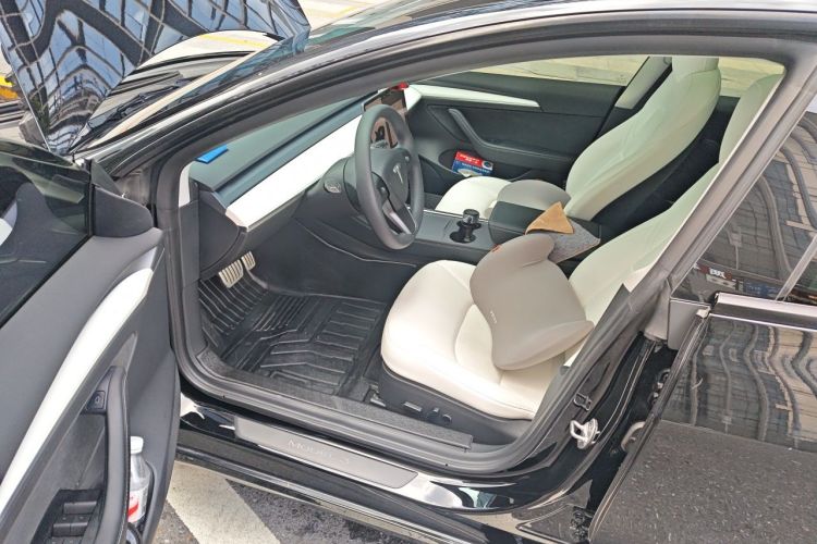 Tesla Model 3 2021 car image #13