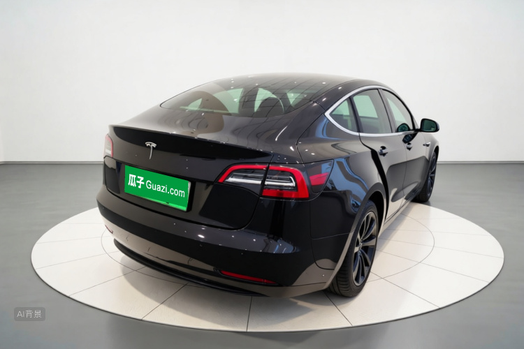 Tesla Model 3 2023 car image #7