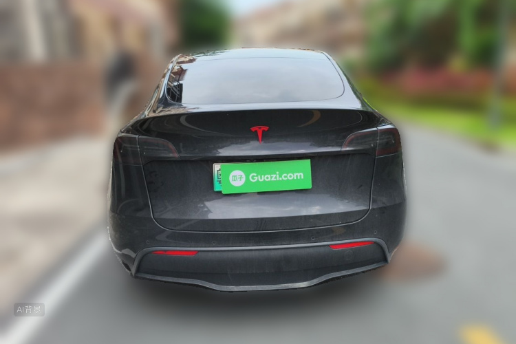 Tesla Model Y 2021 car image #6