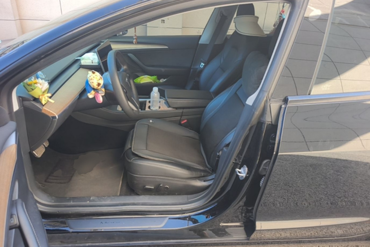 Tesla Model 3 2022 car image #15