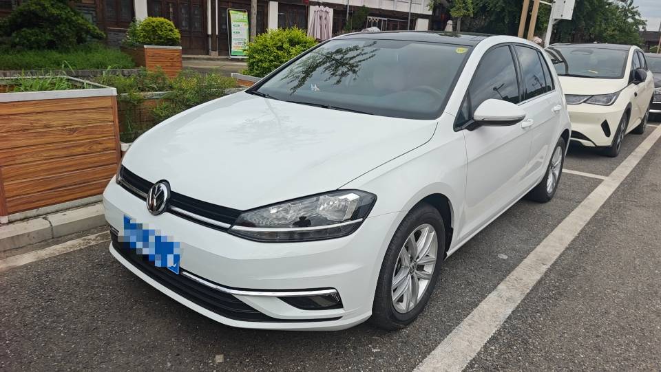 Volkswagen Golf 2019 Volkswagen Golf 2019 imagen de coche