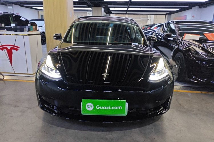 Tesla Model 3 2023 car image #3