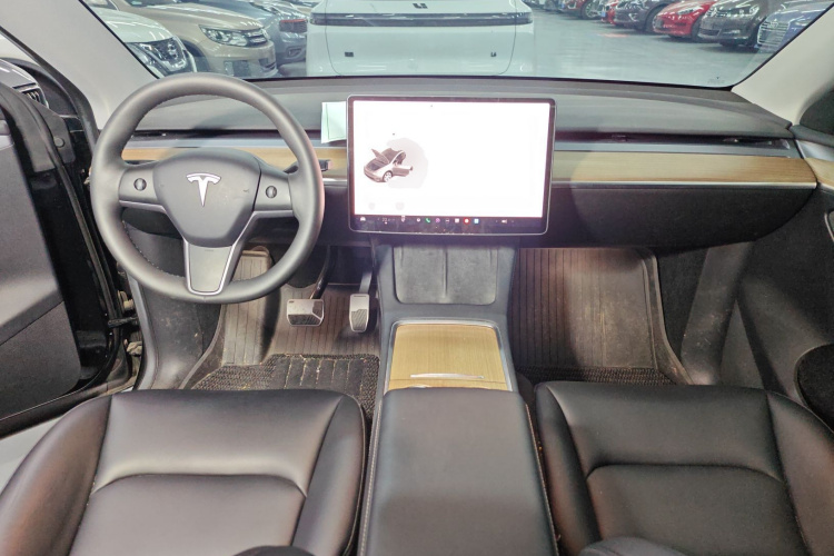 Tesla Model Y 2023 car image #10