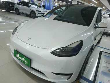 Tesla Model Y 2024 car image 