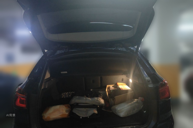 BMW X1 2017 car image #21