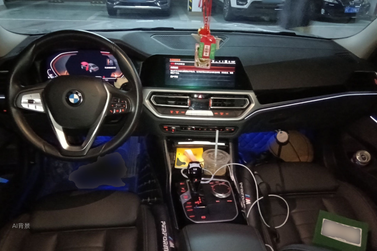 BMW 3 Series 2019 car image #11