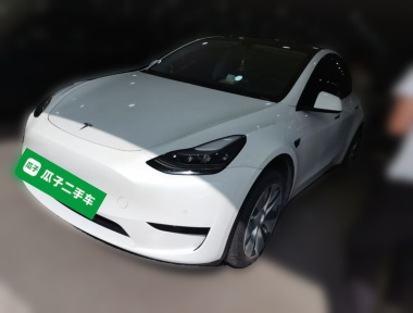 Tesla Model Y 2022 Tesla Model Y 2022 car image