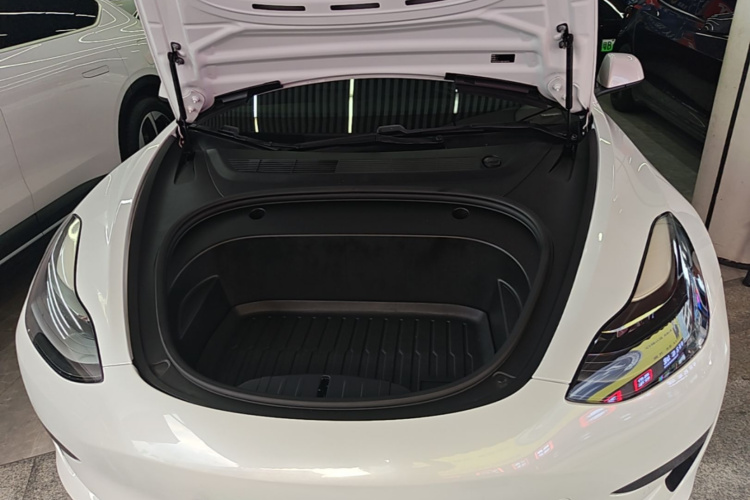 Tesla Model 3 2021 car image #22