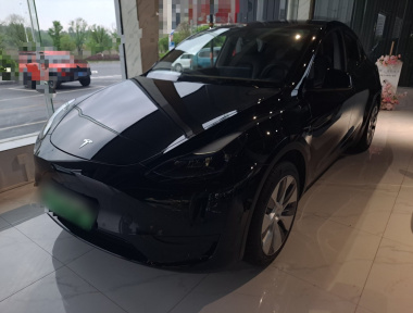 Tesla Model Y 2023 Tesla Model Y 2023 car image
