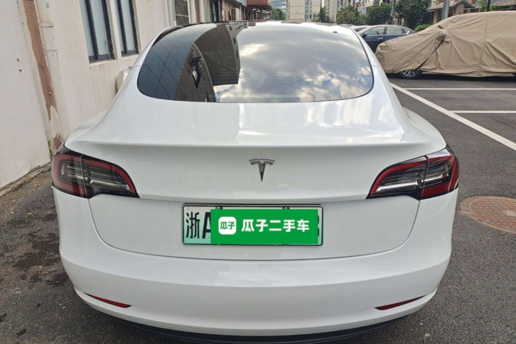 Tesla Model 3 2021 car image #6