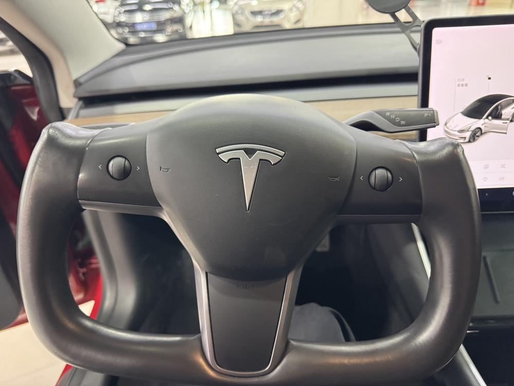 Tesla Model 3 2020 car image #11
