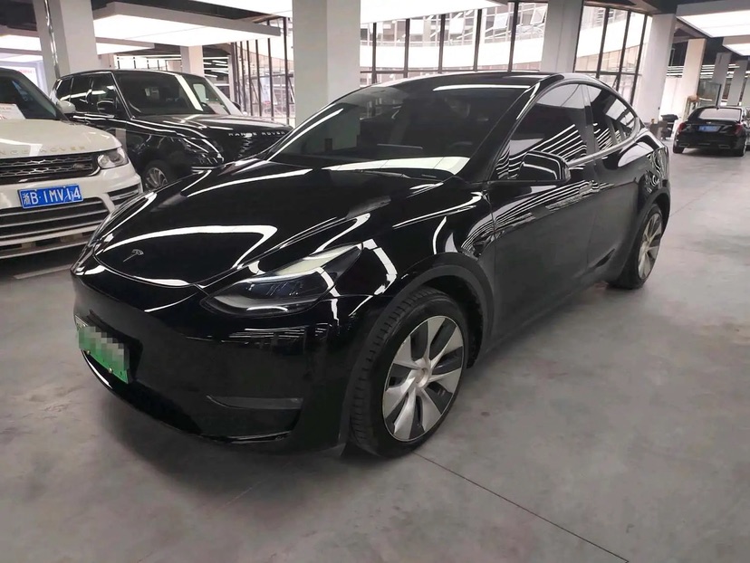 Tesla Model Y 2022 car image 