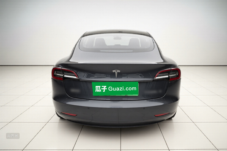 Tesla Model 3 2020 car image #6