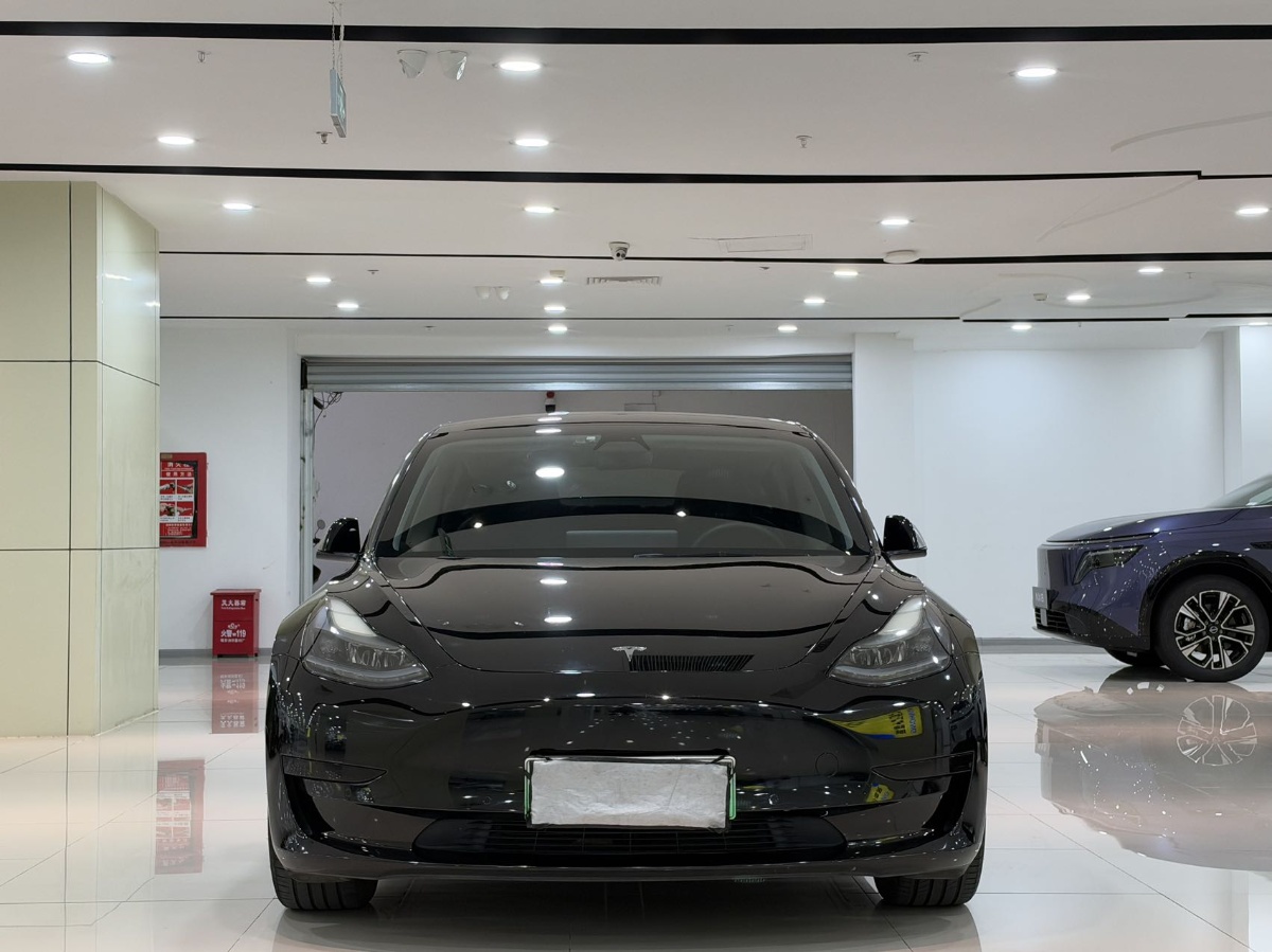 Tesla Model 3 2021 #2 Tesla Model 3 2021 immagine di auto #2