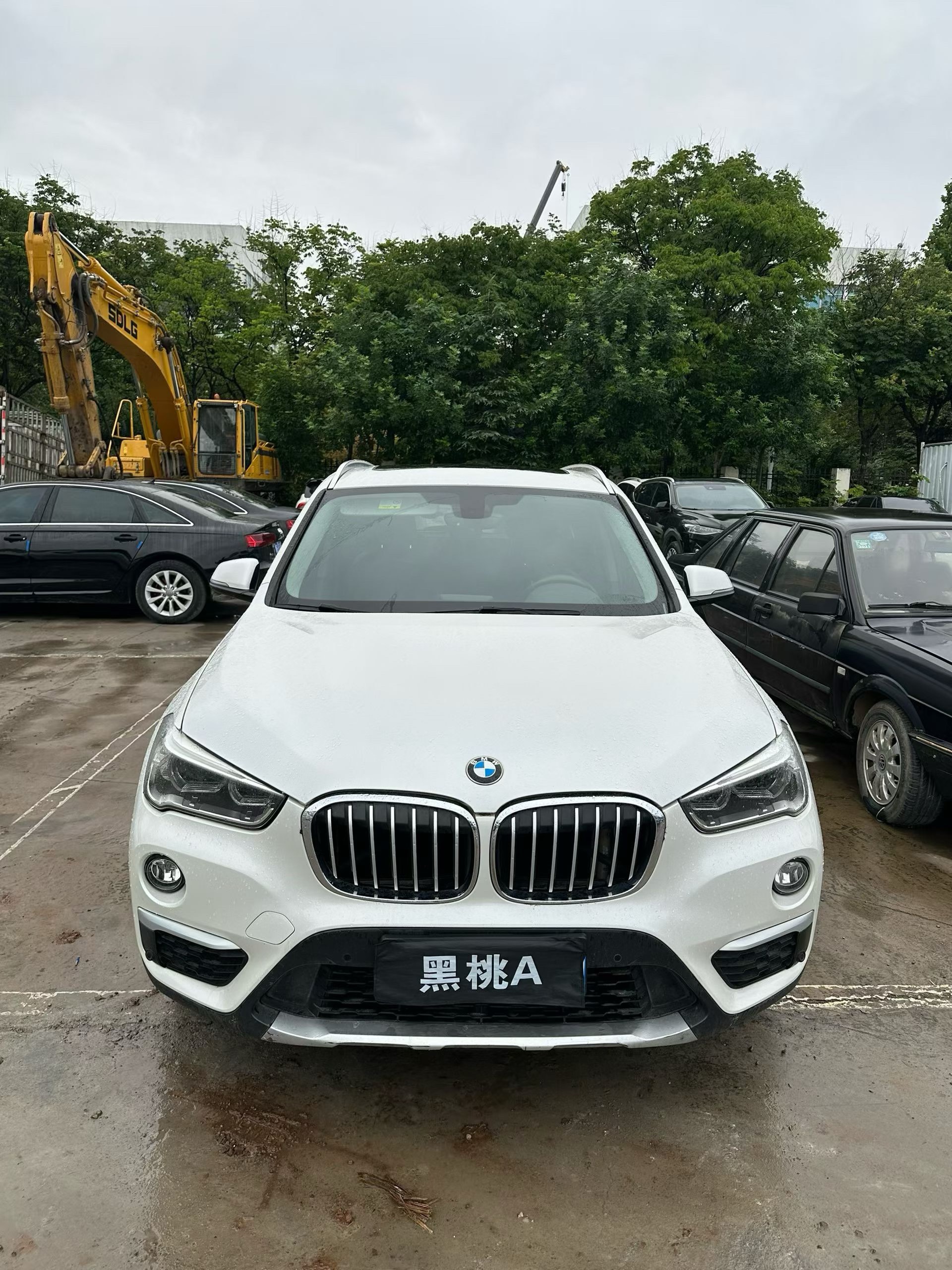 BMW X1 2016 car image #2