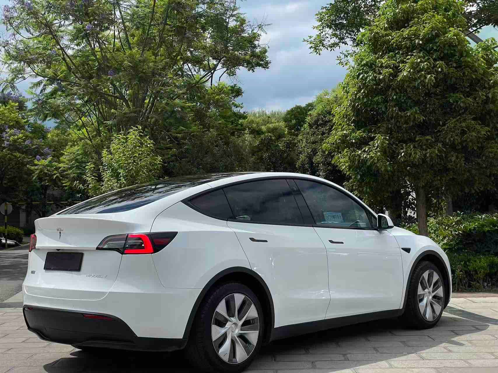 Tesla Model Y 2023 #3 Tesla Model Y 2023 car image #3