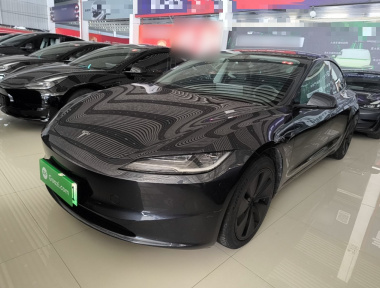 Tesla Model 3 2024 Tesla Model 3 2024 car image