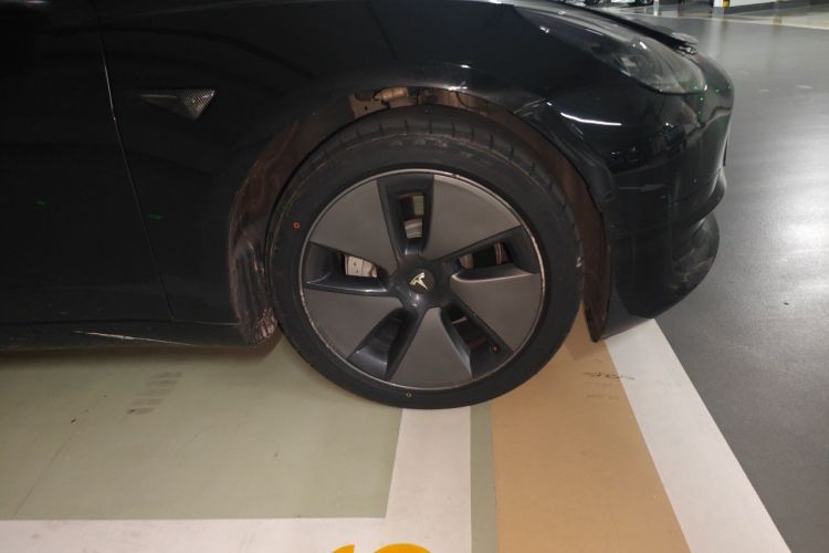Tesla Model 3 2021 #9 Tesla Model 3 2021 car image #9