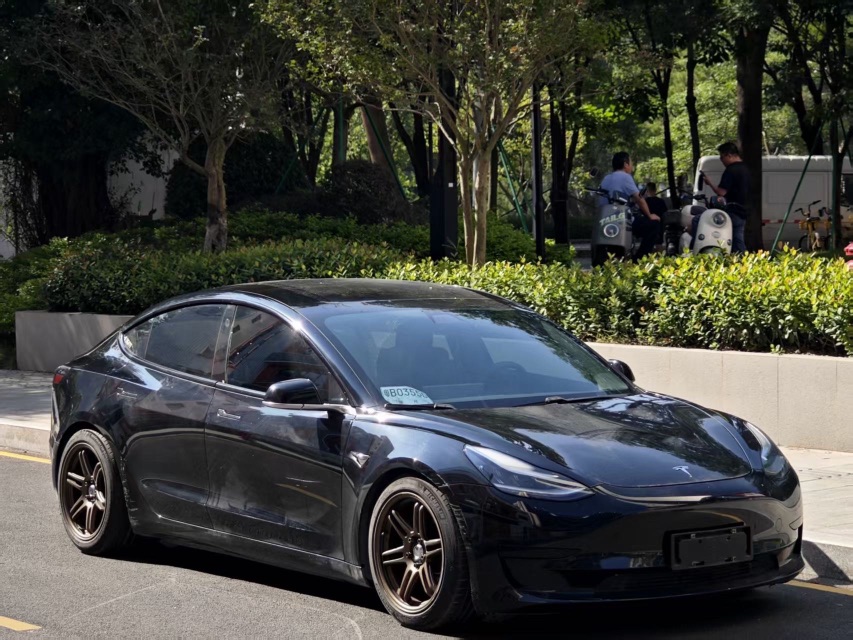 Tesla Model 3 2020 car image #2