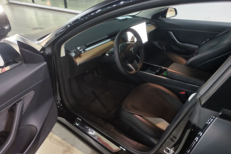 Tesla Model 3 2020 car image #16