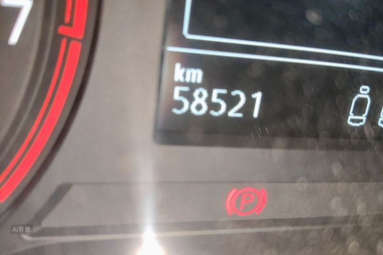 Volkswagen Polo 2019 car image #14