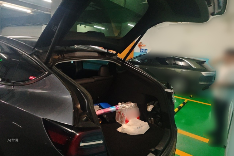 Tesla Model Y 2021 car image #21