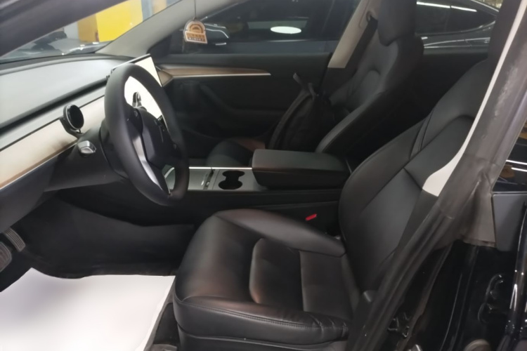 Tesla Model 3 2021 car image #24