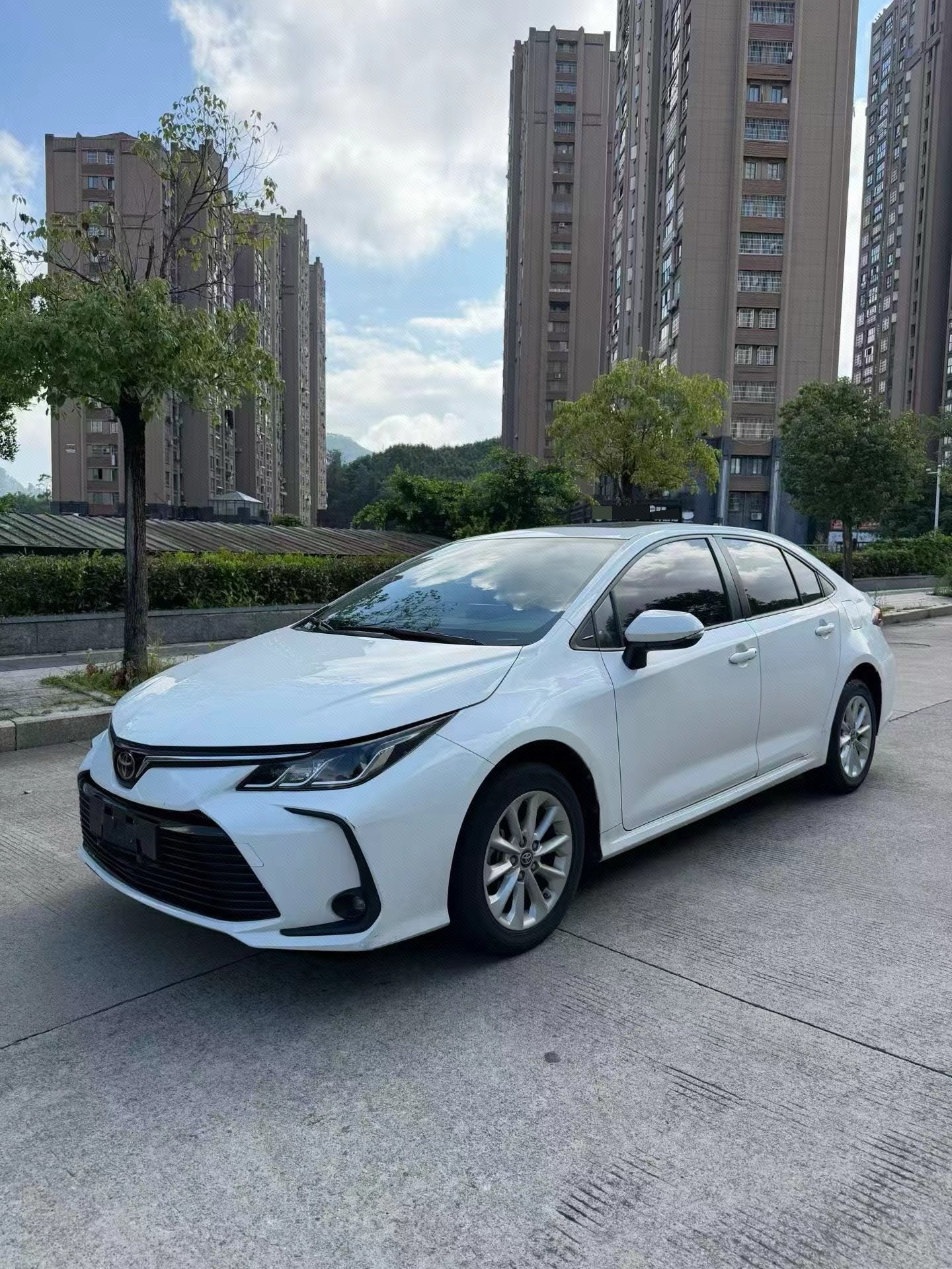 Toyota Corolla 2021 Toyota Corolla 2021 immagine di auto