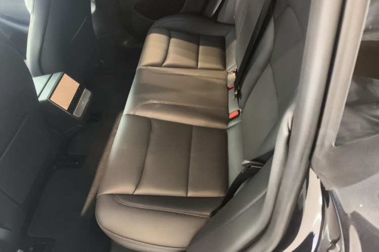 Tesla Model 3 2024 car image #17