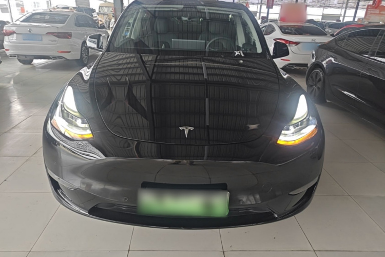 Tesla Model Y 2021 car image #3