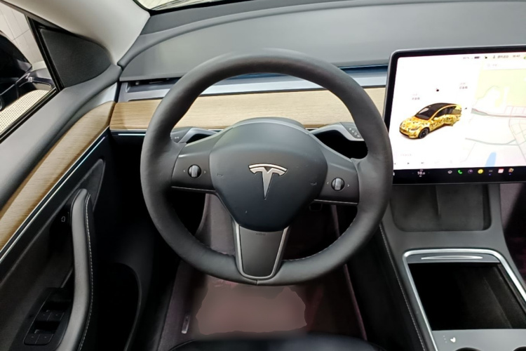 Tesla Model Y 2021 car image #15