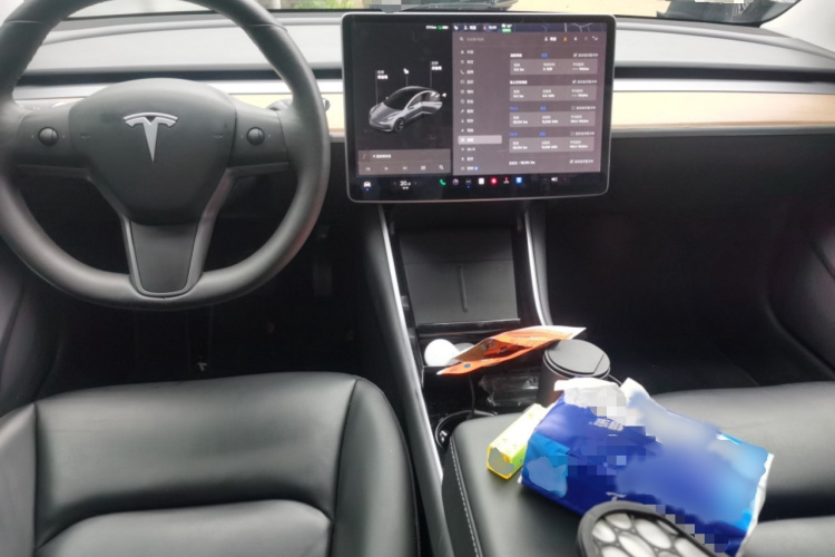 Tesla Model 3 2020 #12 Tesla Model 3 2020 car image #12